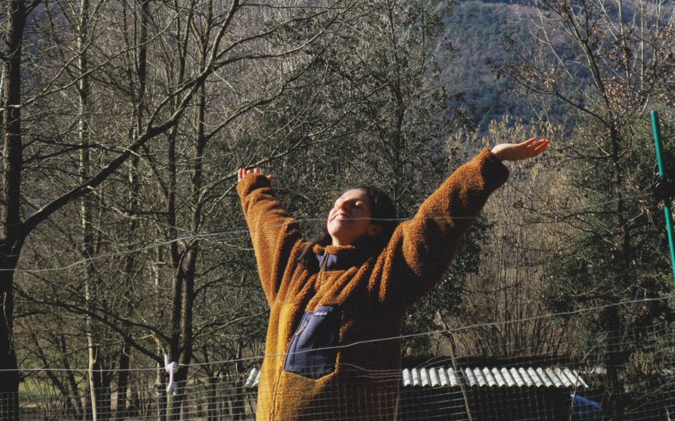 Todo lo que hemos hecho en nuestra finca estos 3 años y medio